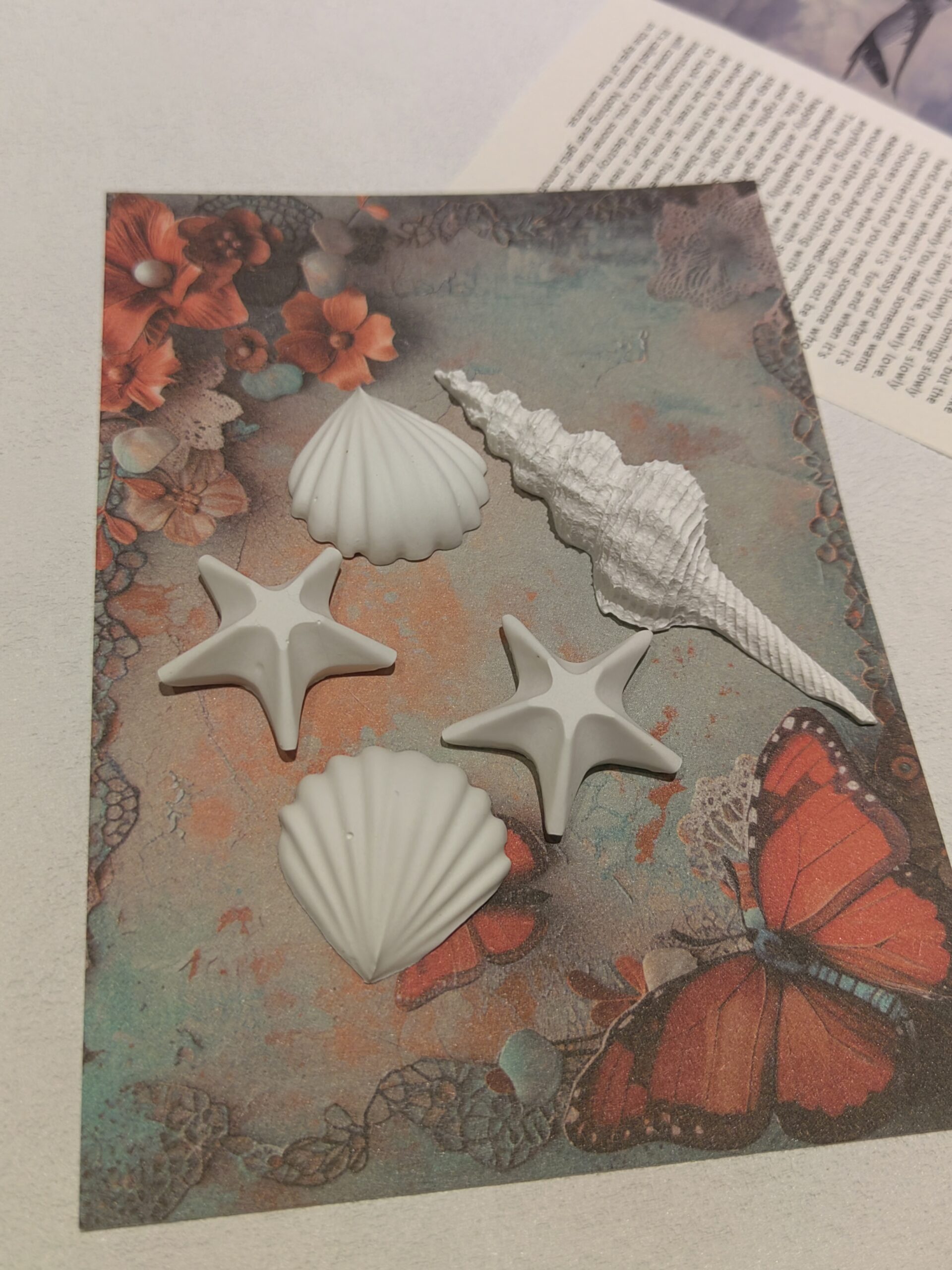 Homemade starfish shells and conch